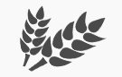 Agriculture Testing 