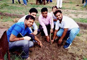 tree-plantation-sml